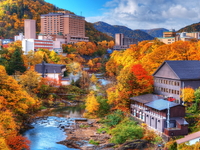 KHÁM PHÁ MÙA THU HOKKAIDO ASAHIKAWA – FURANO – JOZANKEI OTARU - SAPPORO