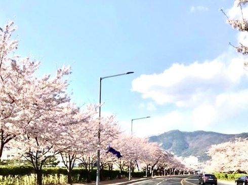Tết Dương Lịch-Busan–DaeGu-Seoul-Đảo Nami-Cung điện Kyeongbok-6N5D-KS 3,4 Sao