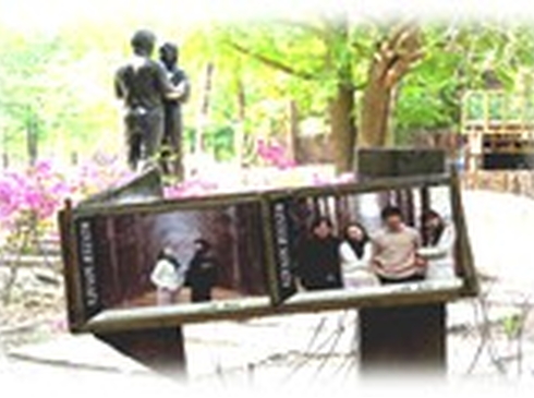 Xứ Sở Kim Chi-Seoul–Nami-Everland-5N4D-KS 3,4 Sao-Hàng Không VietJet Air