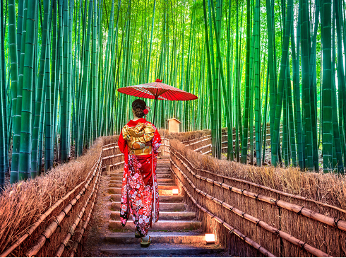 Mùa Thu Nhật Bản-Osaka–Nara–Kyoto–Nagoya-Yamanashi–Tokyo-5N5D-Vietnam Airlines