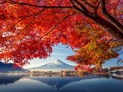 Mùa Thu Nhật Bản-Osaka–Nara–Kyoto–Nagoya-Yamanashi–Tokyo-5N5D-Vietnam Airlines