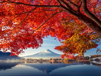 Mùa Thu Nhật Bản-Osaka–Nara–Kyoto–Nagoya-Yamanashi–Tokyo-5N5D-Vietnam Airlines