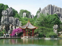 Tết Dương Lịch-Hong Kong-Thẩm Quyến-Quảng Châu-Ngủ 2 Đêm Hong Kong-5N4D