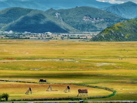 Noel-Côn Mình-Đại Lý Lệ Giang-Shangrila-Núi Tuyết Ngọc Long-6N6D